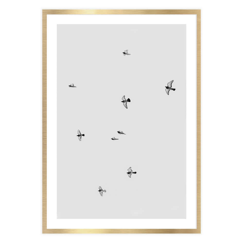 Birds in Flight Photography Wall Art