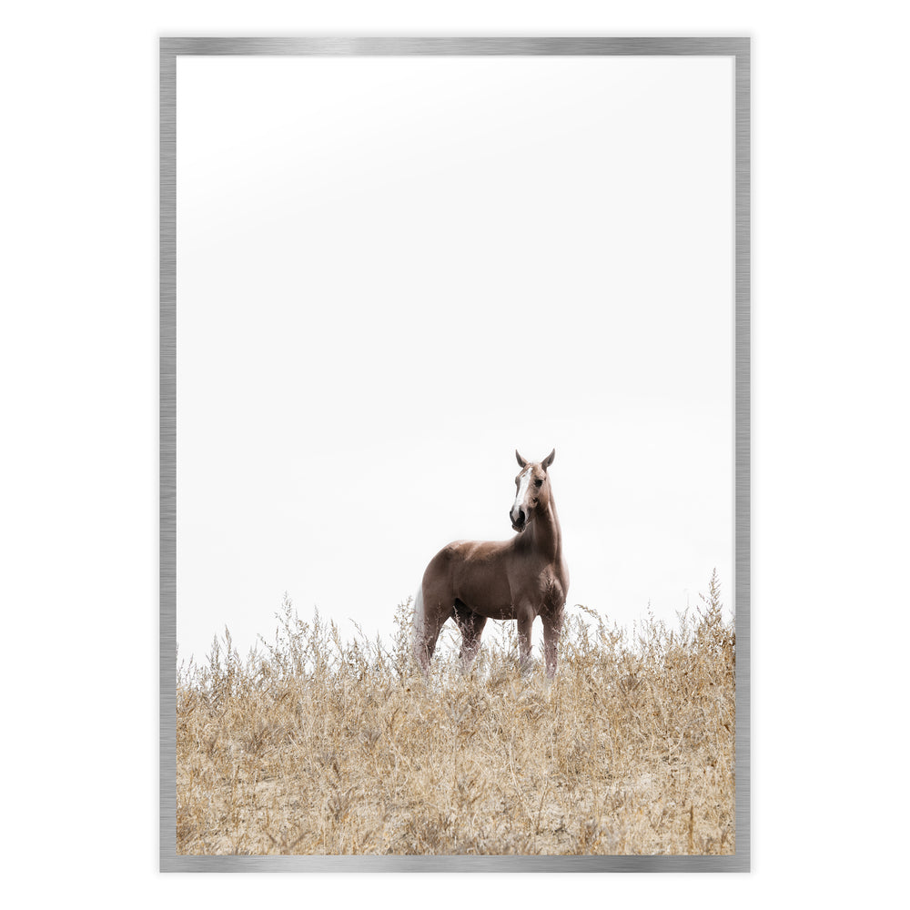 On The Ranch Photography