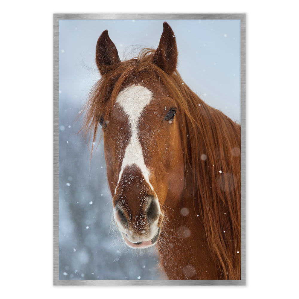 Snowy Photographic Print