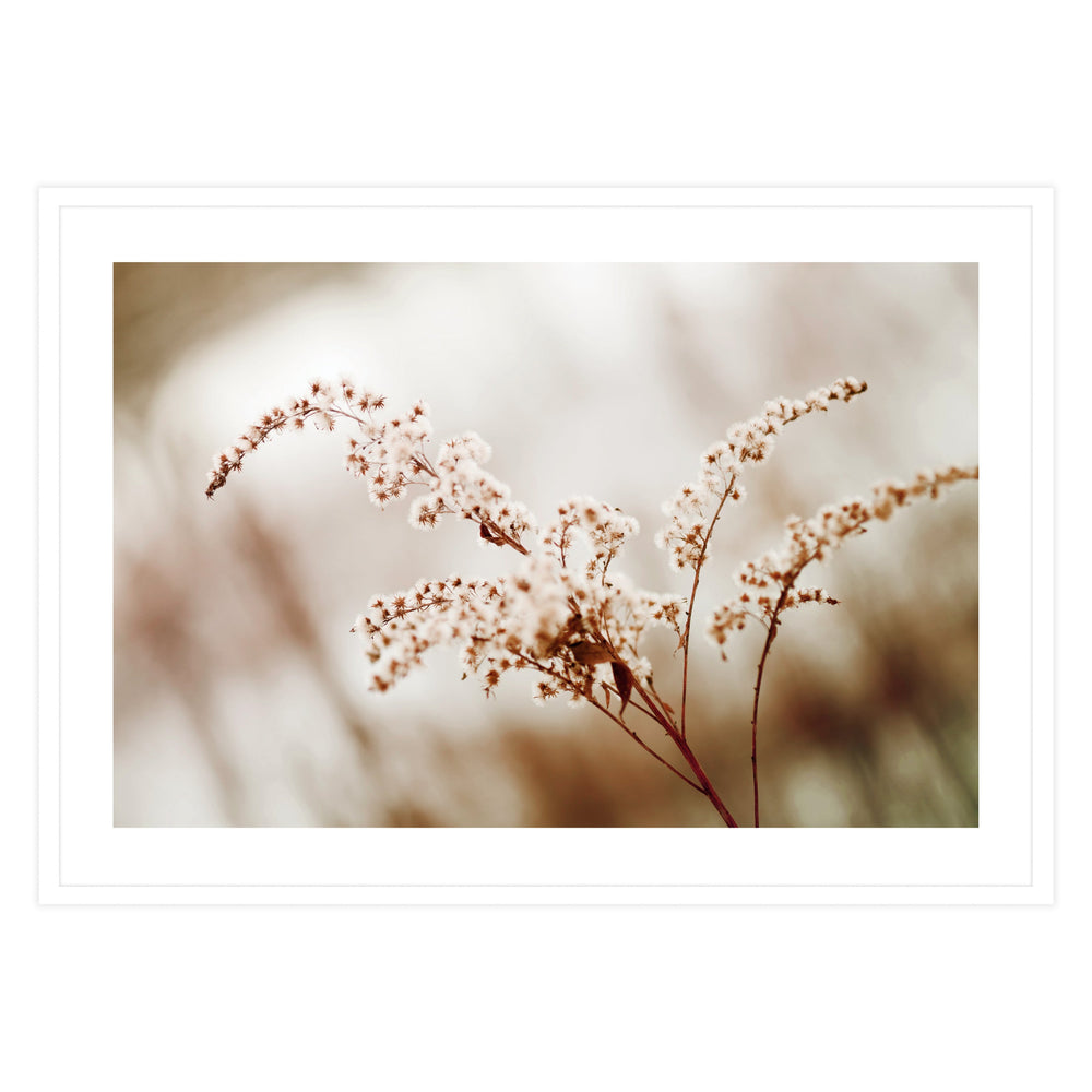 Blossom Flower